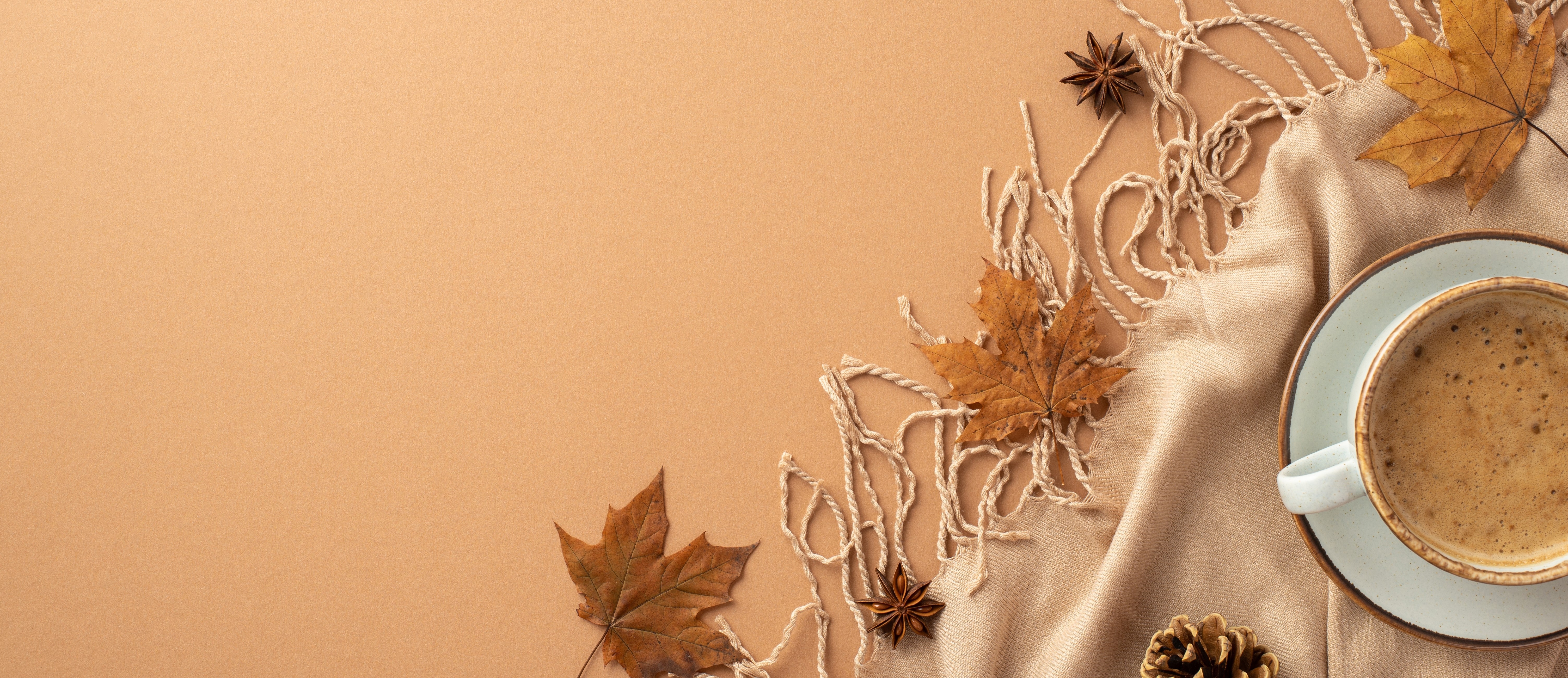 shutterstock_2188206991