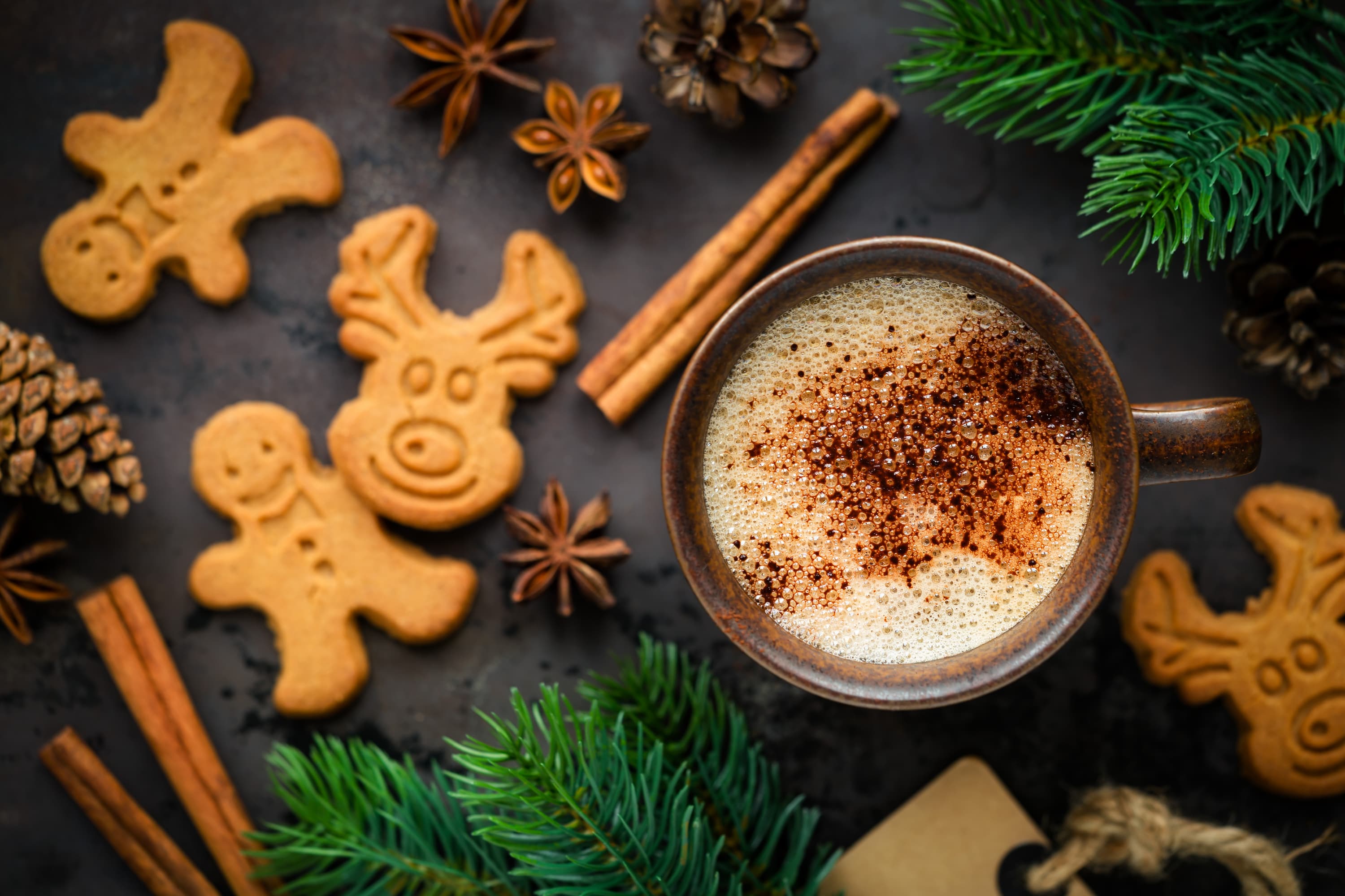 Tasse Kaffee mit Milchschaum umgeben von Lebkuchen, Zimtstangen, Sternanis und Tannenzweigen.