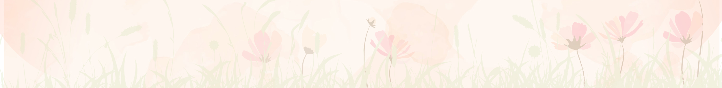 slider_schmal_osteraktion_footer