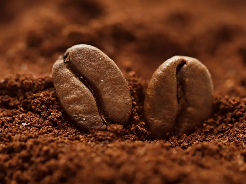 Kaffeebohne Kaffeebohne