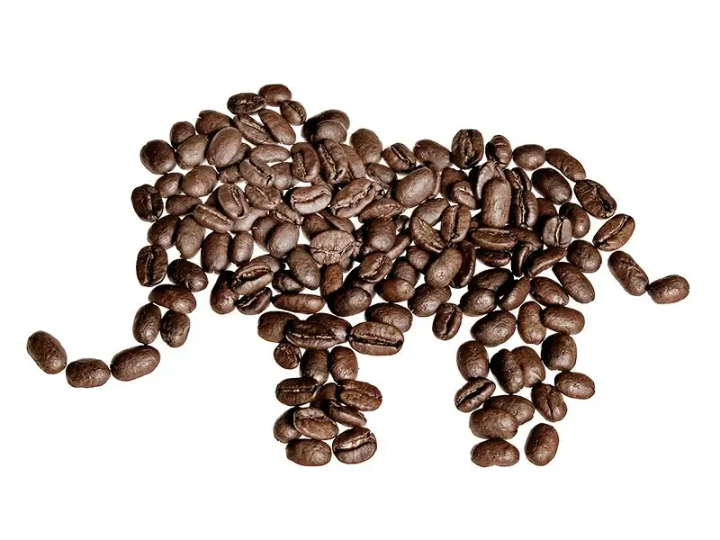 Kaffee Elefant Kaffee Elefant