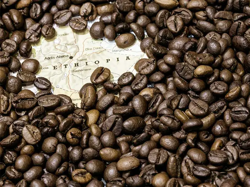 Kaffee aus Äthiopien