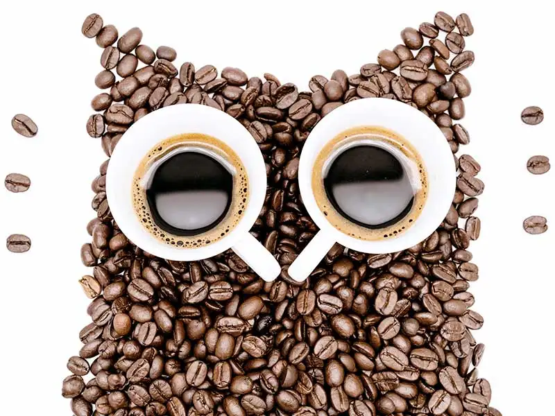 Kaffee eule Kaffee eule