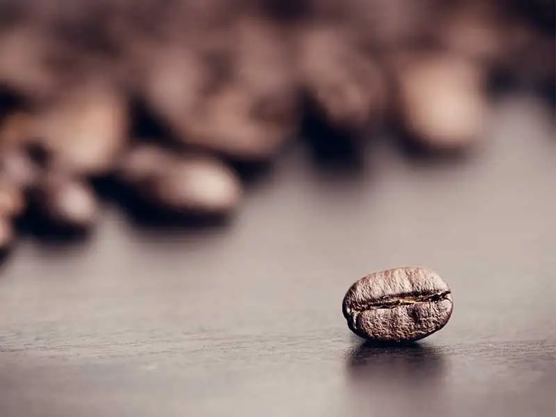 kaffeebohne kaffeebohne