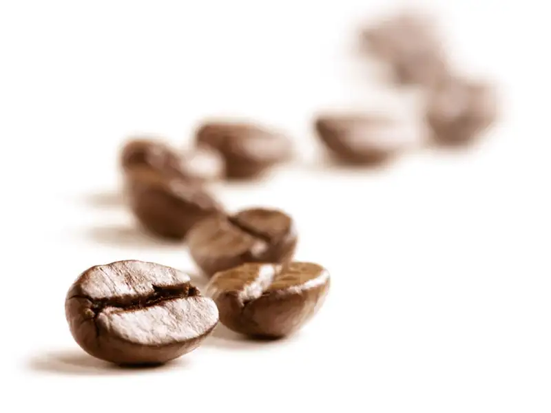 Kaffee Bohnen Kaffee Bohnen