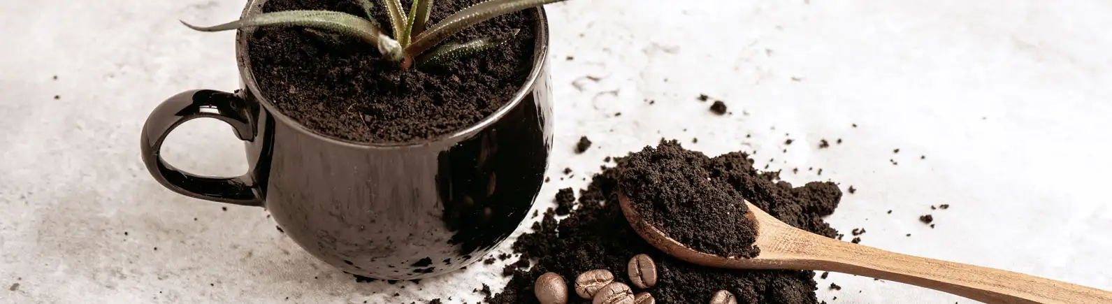 Kaffee Dünger