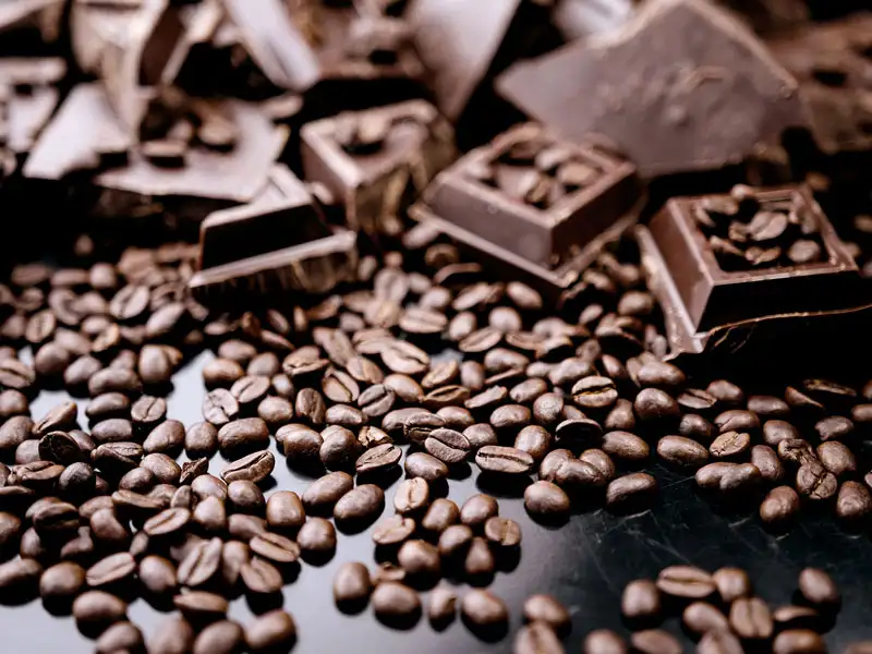 Kaffeebohne Schokolade