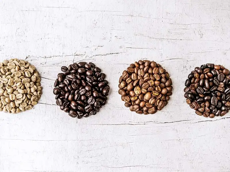 Kaffeebohne