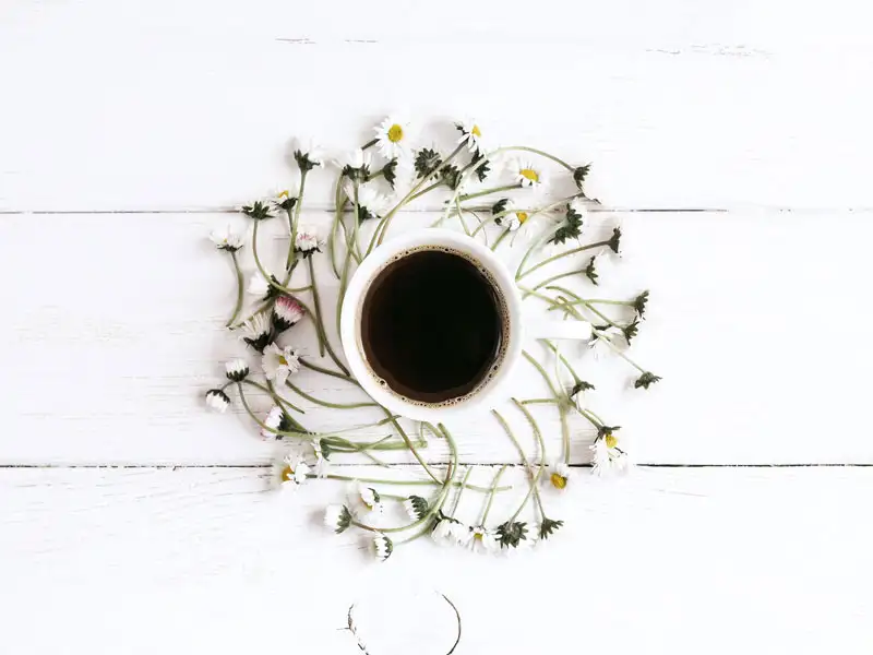 Kaffee Muckefuck Kaffee Muckefuck