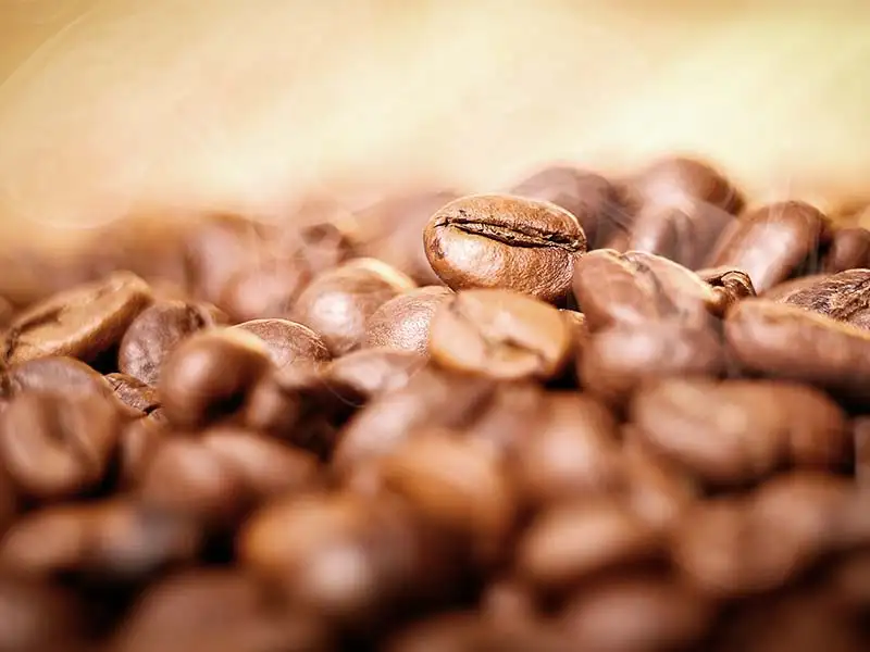 kaffeebohne kaffeebohne