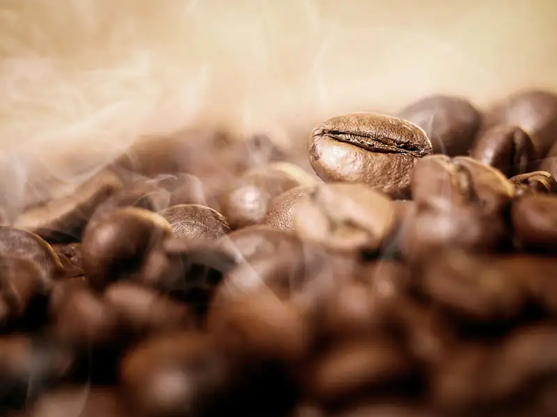 Kaffeebohne Kaffeebohne